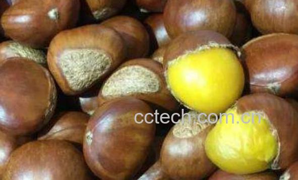 生板栗怎么吃 生板栗怎么做好吃-0