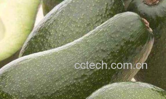 牛油果怎么榨油 牛油果油的功效与作用-1