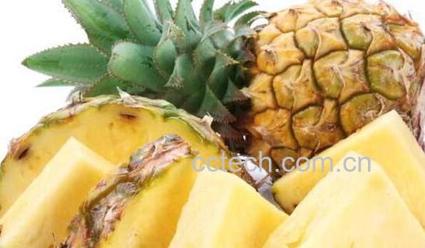 凤梨和菠萝的区别 吃凤梨的好处-1
