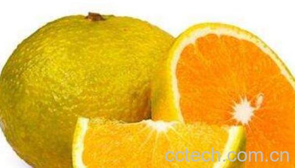 橘柚的功效与作用 橘柚的营养价值-0