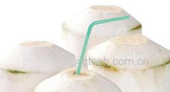 椰青的功效与作用及禁忌-0