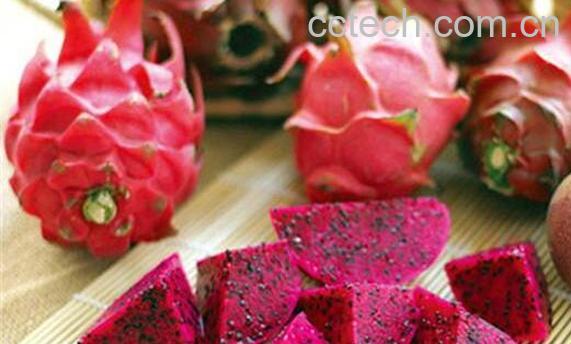 火龙果的功效与作用 吃火龙果的禁忌-1