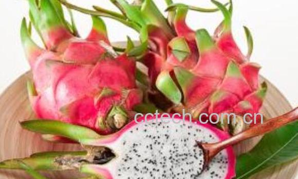 火龙果的功效与作用 吃火龙果的禁忌-0