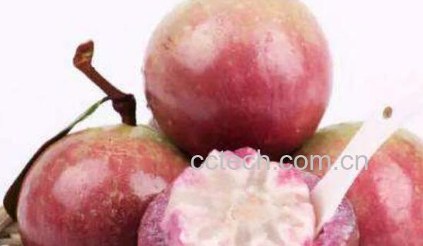 牛奶果的营养价值 牛奶果的功效与作用-0