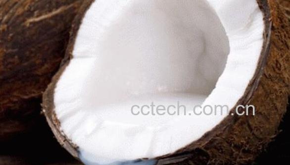 天然椰汁的功效与作用-1