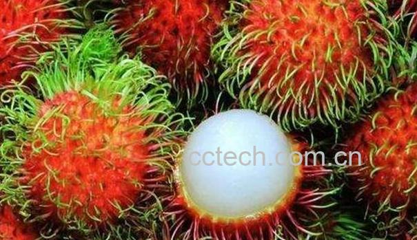 红毛丹吃多了怎么办 吃红毛丹的禁忌-0