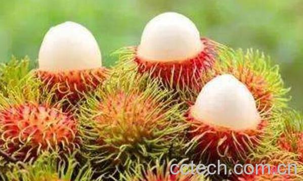 红毛丹吃多了怎么办 吃红毛丹的禁忌-1