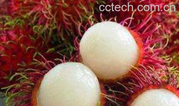 红毛丹的功效与作用 吃红毛丹的好处-0