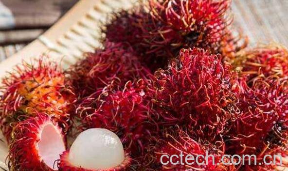 红毛丹的功效与作用 吃红毛丹的好处-1