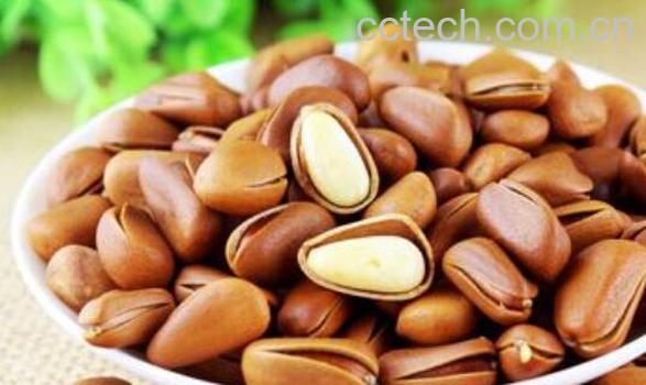 马尾松子和雪松子区别 马尾松子的功效与作用-1