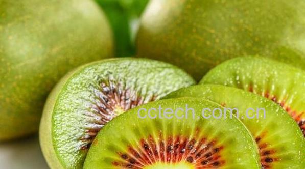 红心果的药用价值 吃红心果的好处-1