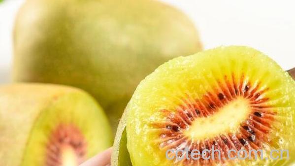 红心果的药用价值 吃红心果的好处-0