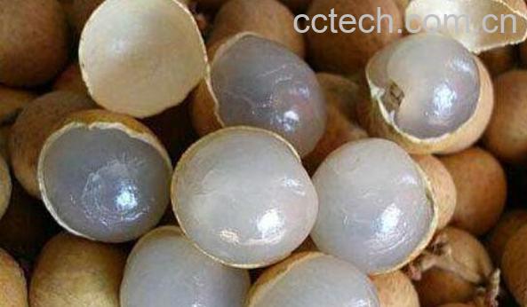 来月经不能吃什么水果 月经期最宜吃什么水果-1