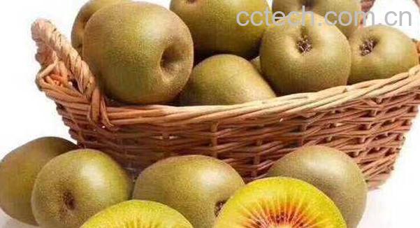 红心果干的功效与作用-0