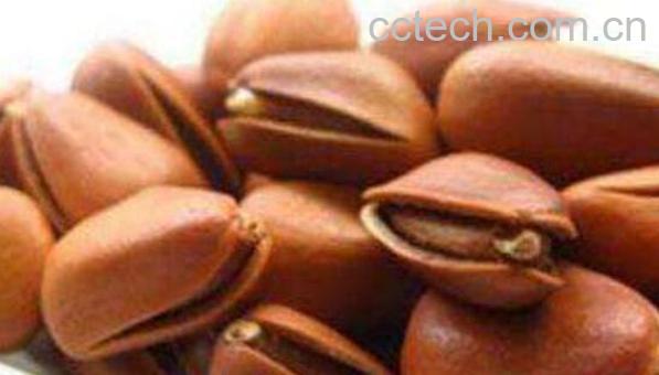 黑松子的功效与作用 吃黑松子的好处-1