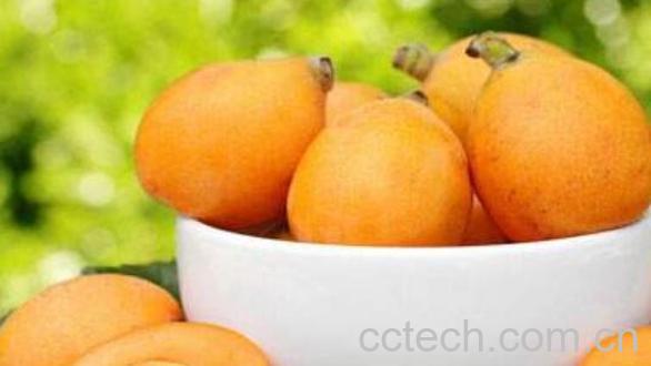 枇杷可以生吃吗 生枇杷的功效与副作用-1