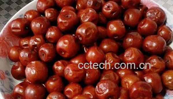 干酸枣的功效与作用-1