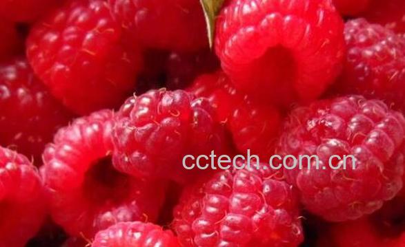 山月莓的功效与作用-0