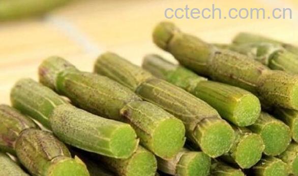 川石斛的功效与作用 川石斛的禁忌-0