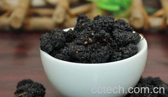 桑葚干怎么做 桑葚干的家庭做法窍门-1