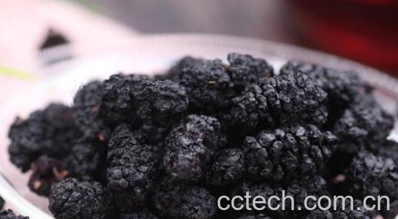 桑葚干的功效与作用 桑葚干的副作用-0