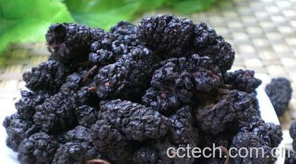 桑葚干的功效与作用 桑葚干的副作用-1