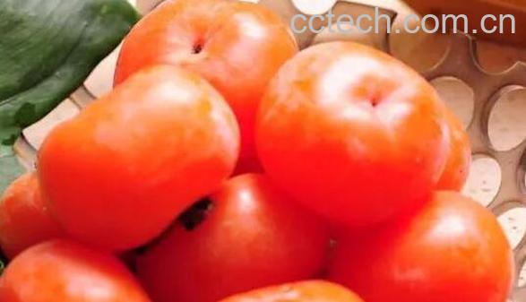 柿子的功效与作用 吃柿子的好处有哪些-0