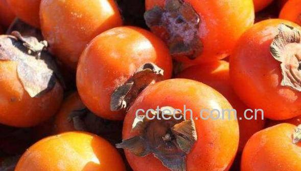 柿子怎么吃 柿子的食用方法-1