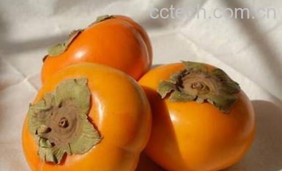 蒸柿子的功效与作用-1