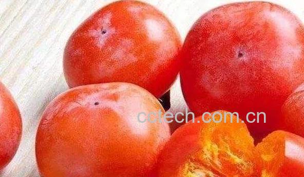 甜柿子的功效和作用-0