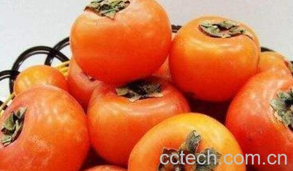 甜柿子的功效和作用-1