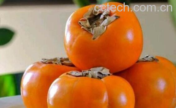 新鲜柿子的功效与作用-0