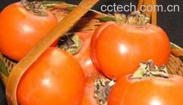 新鲜柿子的功效与作用-1