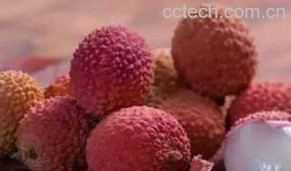 荔枝皮煮水的功效与禁忌-1