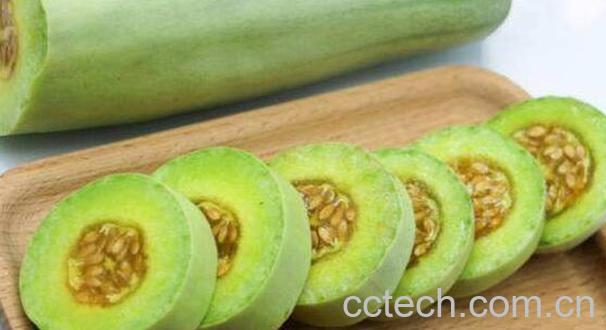 羊角蜜和羊角脆的区别 怎么挑选羊角蜜-1