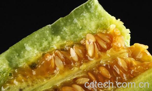 羊角蜜和羊角脆的区别 怎么挑选羊角蜜-0