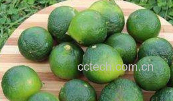 青金桔干怎么制作-0