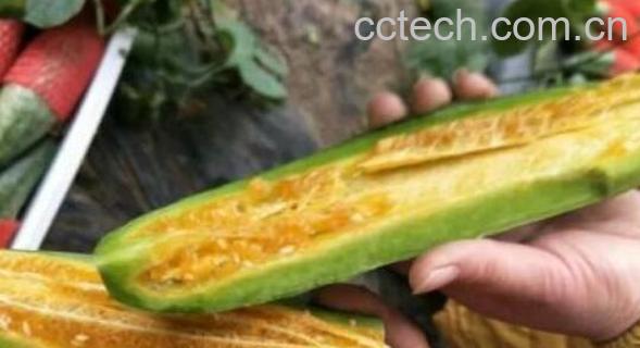 羊角蜜的功效与作用 羊角蜜的禁忌-0