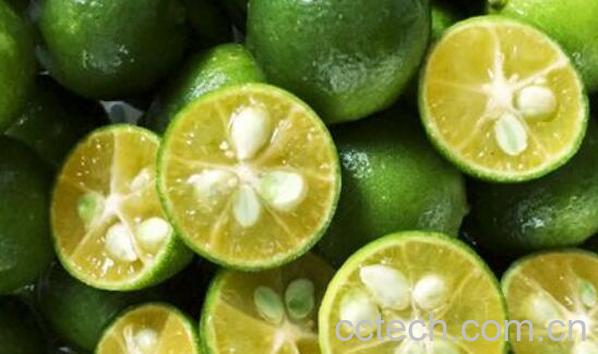 青金桔酱怎么做 青金桔酱的做法大全-1