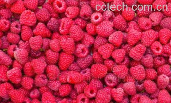 三锦莓的功效与作用 三锦梅是什么水果-1