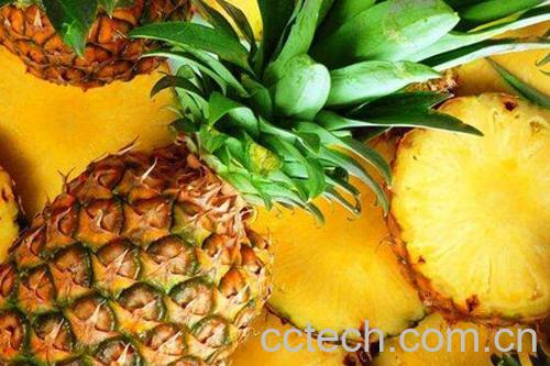 菠萝-1
