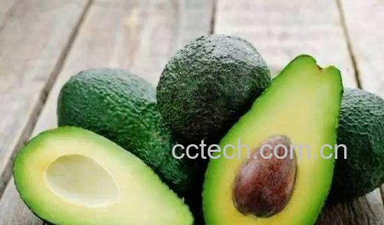 牛油果-0