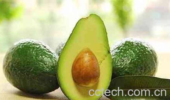 牛油果-1