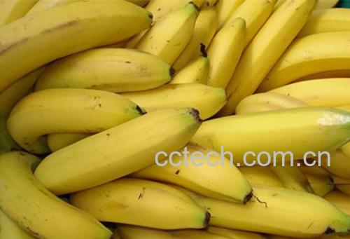 香蕉-0