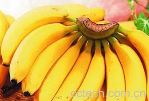 香蕉-1