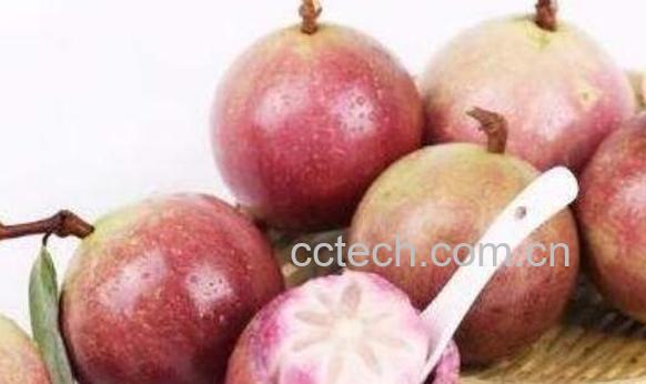 牛奶果怎么吃 牛奶果的食用方法-0