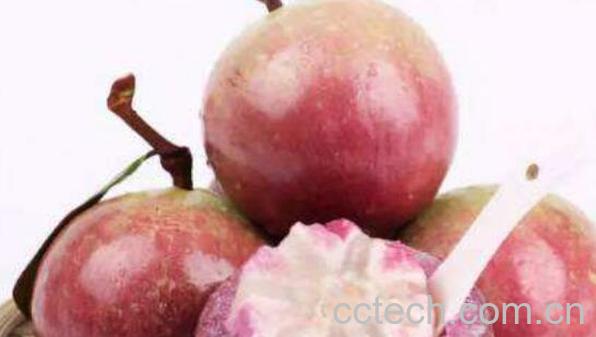 牛奶果怎么吃 牛奶果的食用方法-1