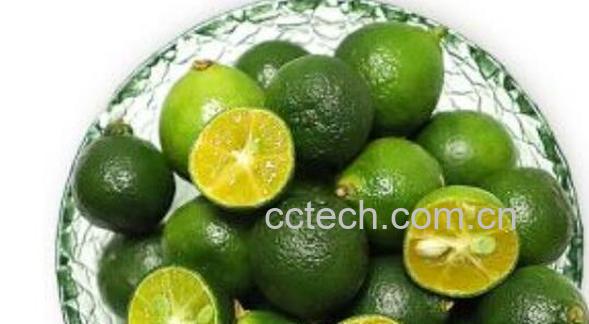 小青桔泡水的好处 小青桔泡水的方法-1