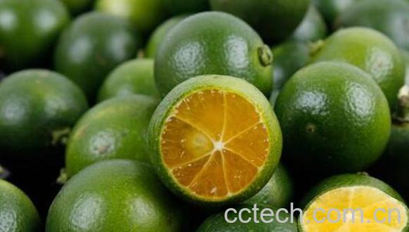 小青桔泡水的好处 小青桔泡水的方法-0