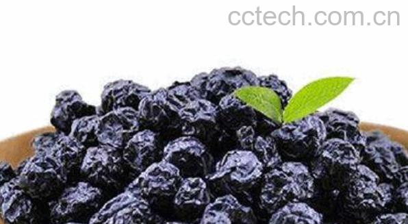 蓝莓干的功效与禁忌-0